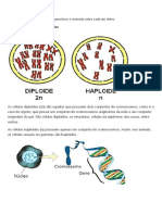 Conceitos Básicos Genetica