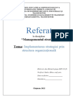 Implementarea strategiei prin structura organizațională.docx