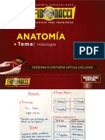 Anatomía - Tema 1 PDF