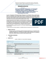 Resumen Ejecutivo PDF