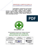Pets 057 Reposición de Cuentas Revestidas de Concreto PDF