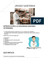 Seguridad Sanitaria PDF
