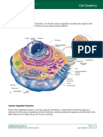 Cell Anatomy PDF
