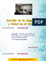 Gestion de La Seguridad y Salud en El Trabajo