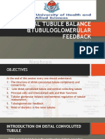 Distal Tubule Balance and Tubuloglomerular Feedback-Group 2