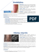 Compendio MicroHongos PDF