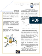 Modelo Poster PDF