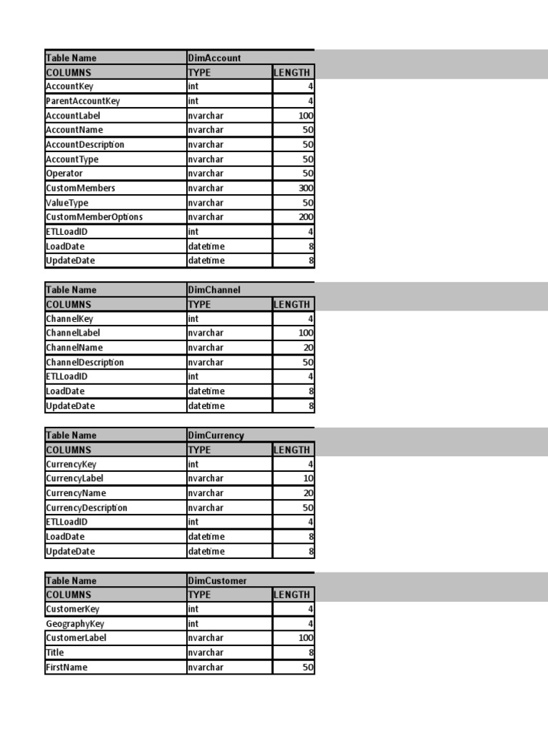 Data Dictionary of Contoso BI Demo Dataset For Retail Industry | PDF