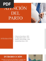 Atención Integral en Parto y Puerperio | PDF | Parto | Infantes