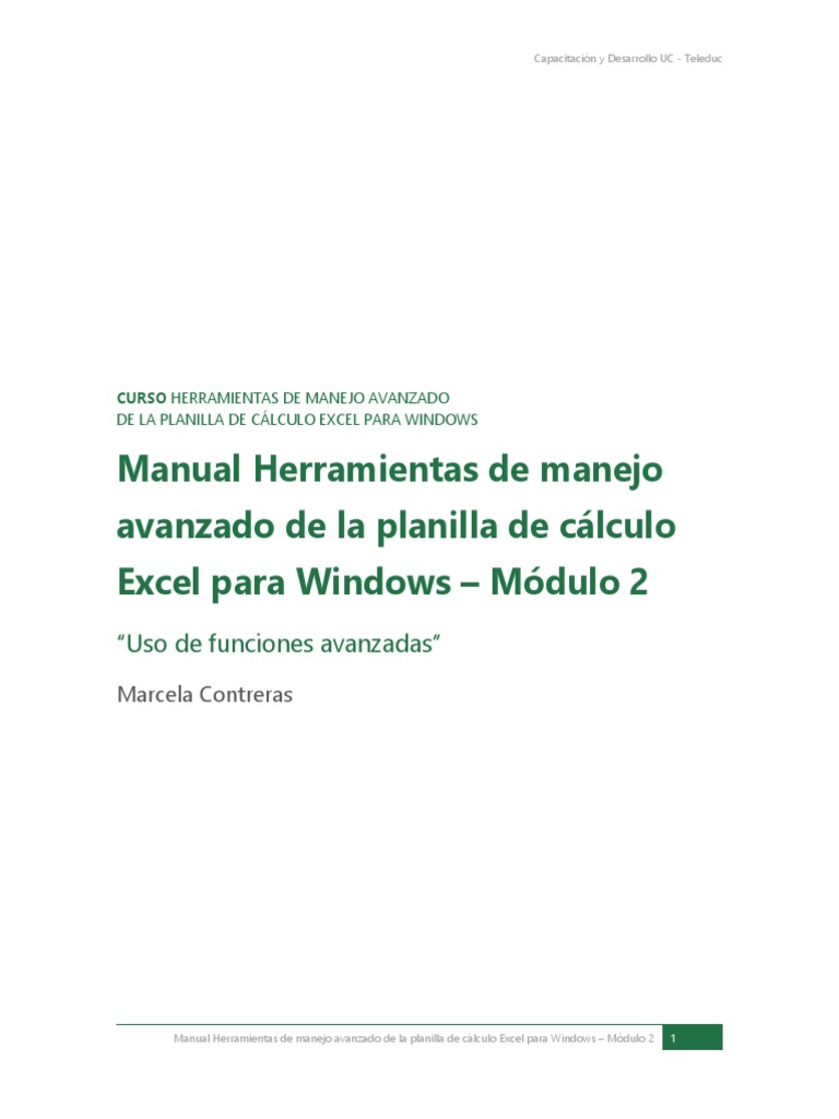 MANUAL DE EXCEL 2016 B SICO INTERMEDIO Y AVANZADO PDF GRATIS visual data 7