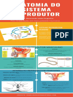 Anatomia Do Sistema Reprodutor PDF