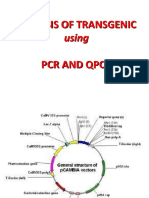09 Analysis of Transgenicusing PCR and QPCR