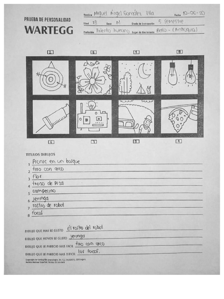 test-de-wartegg-pdf