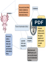 Mapa Conceptual Sobre Los Factores de Biodiversidad de México