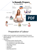 Preparation For Labour PDF