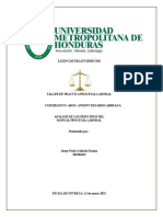 Analisis de Los Principios Del Manual Procesal Laboral PDF