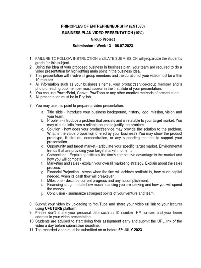 ENT530 Business Plan Video Guidelines | PDF
