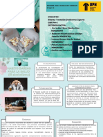 Grupo 2 - Organizador Grafico PDF