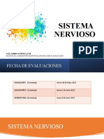 Clase 1 Neuro