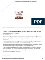 Using Rhizobacteria For Sustainable Potato Growth - Potato Grower Magazine