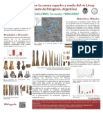 Artefactos Oseos en La Cuenca Superior y PDF