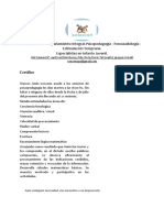 Amin Informe. Psicopedagogico PDF