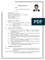 CV Raul Fernandez Documentado PDF