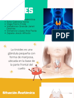 Tiroides PDF