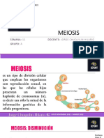Meiosis Copiar PDF