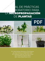 Manual de Cultivos in Vitro PDF