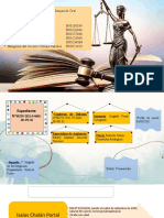 Informe de Expediente y Alegatos de Clausura