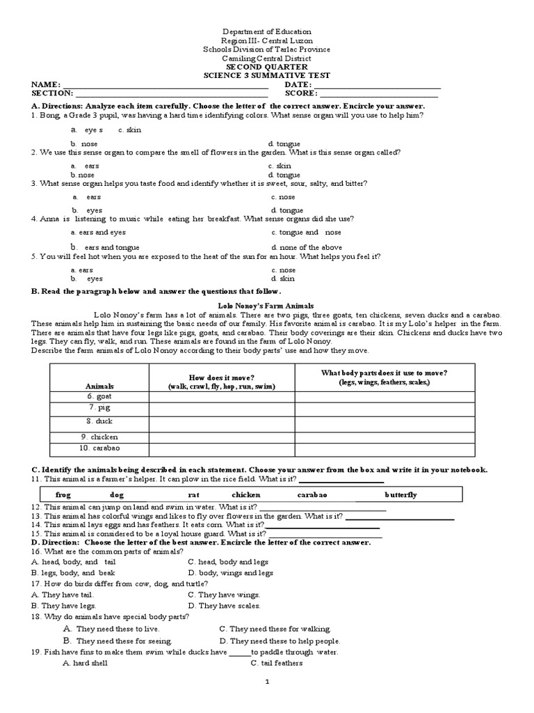 Grade 3 Science Summative Test | PDF | Language Arts & Discipline ...