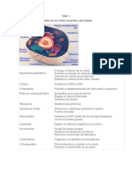 Taller 1 PDF