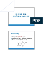 6 Quinolon PDF