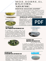 Ciclo Del Azufre PDF