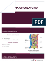 Sistema Circulatorio PDF