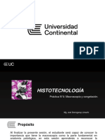 Semana 05 PRA - Macroscopia y Congelación PDF
