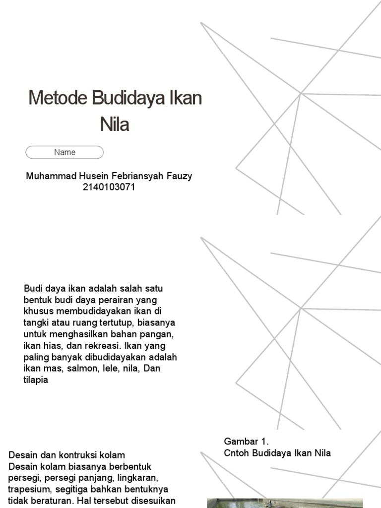 Budidaya Ikan Nila di Desa Panimbang Menjaga Kelestarian Lingkungan dan Keberlanjutan