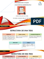REVIEW (Estrutura de Una Tesis) PDF