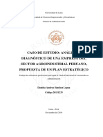 Plan Estrategico Camposol - 2019 PDF