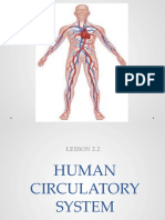 Human Circulatory System L2.2