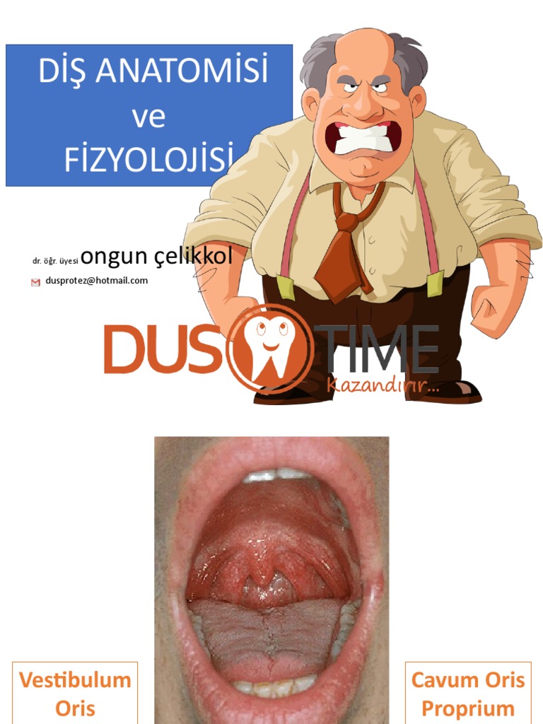Dis Anatomisi PDF | PDF