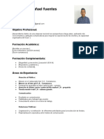 Curriculum Vitae Funcional