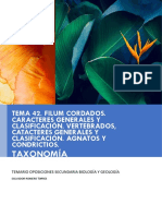 Resumen 42 PDF