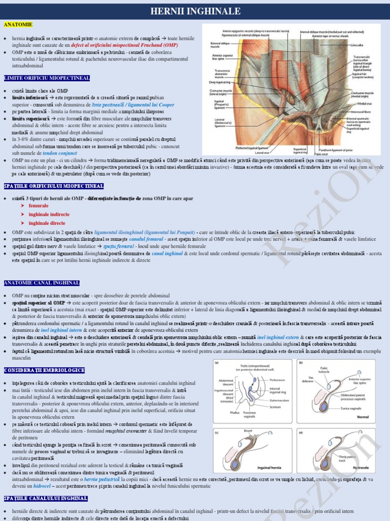 Hernii Inghinale PDF | PDF