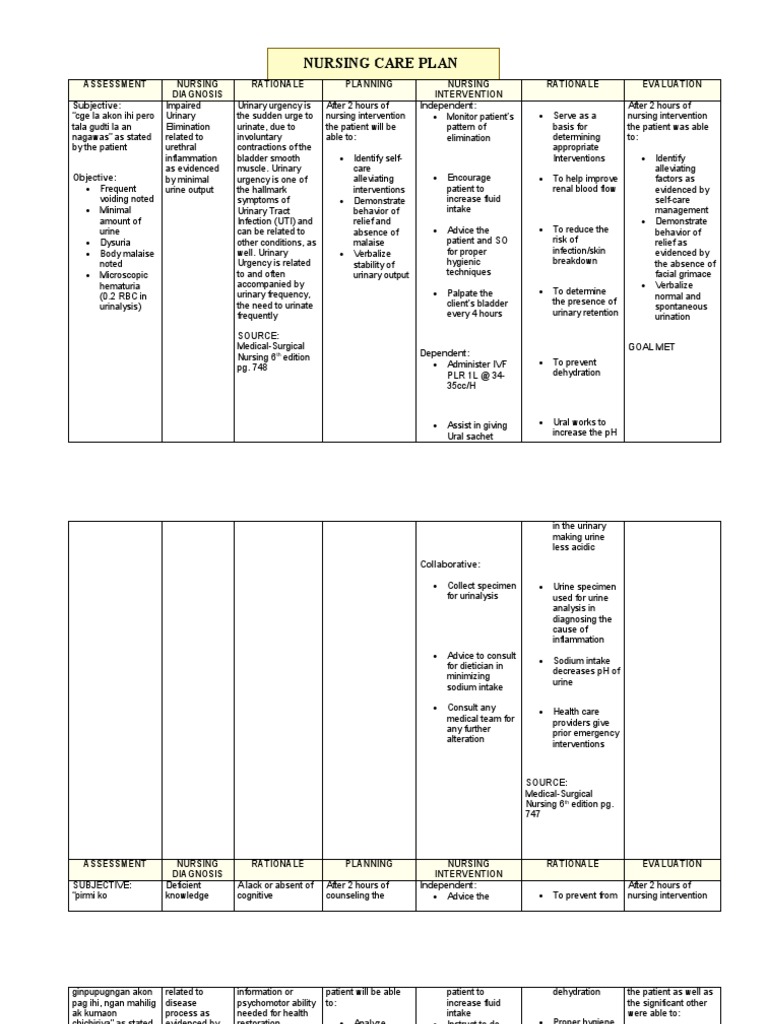 Nursing Care Plan for UTI Symptoms | PDF | Urination | Urinary System