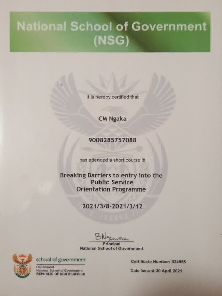 Nsg certificate pdf pdf