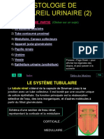 Urin2 PDF
