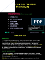 Urin1 PDF