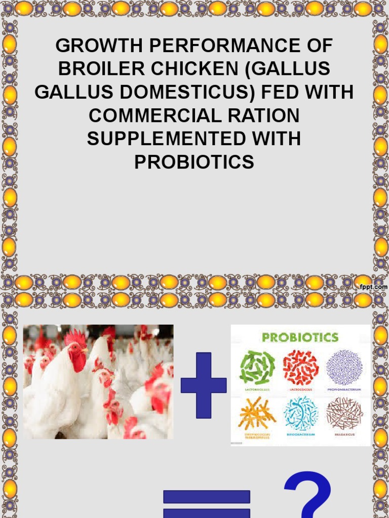 Growth Performance of Broiler Chicken (Gallus Gallus | PDF | Chicken ...